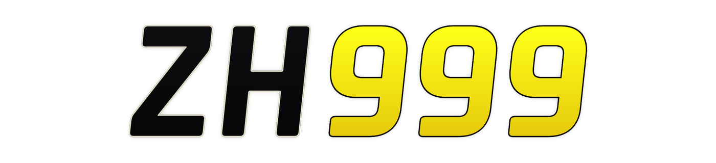 zh999